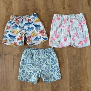 Bundle / Lot Boys Swim Shorts - Sharks, Flamingos & Paisley Size 4T